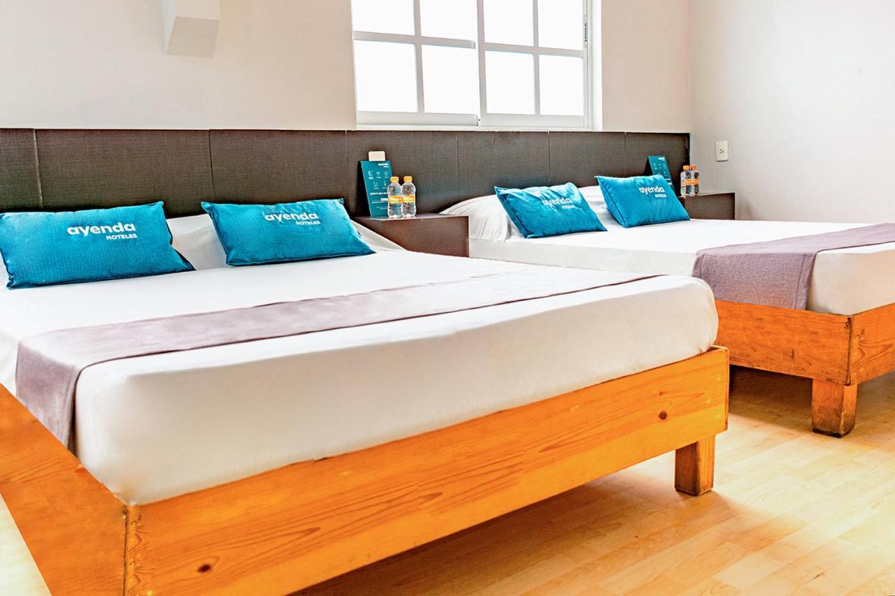 Ayenda La Selva Hotel Мексико Сити Екстериор снимка